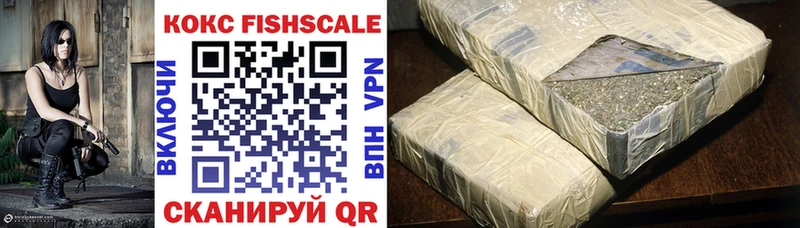 Cocaine FishScale  Купить закладки  Козельск 