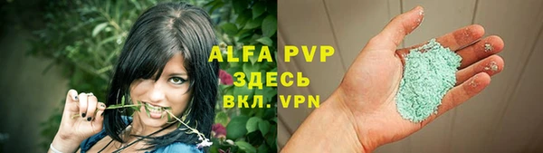 мет Бородино