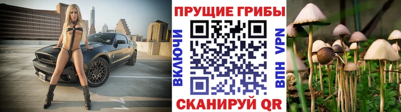 Купить закладки  Козельск  Псилоцибиновые грибы Psilocybe 